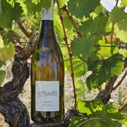 Vouvray Moelleux blanc Sylvain Gaudron