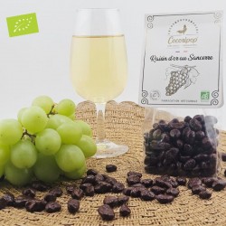 Raisins chocolat noir sancerre bio