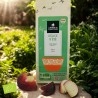 Thé vert bio Délice d'Été