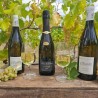 Domaine Sylvain Gaudron : Vin Blanc de Vouvray AOP