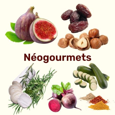 Néogourmets : l'artisanat sain et gourmand