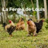 La Ferme de Louis
