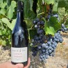 Domaine des 4 Vents - Famille Pion: Chinon AOP