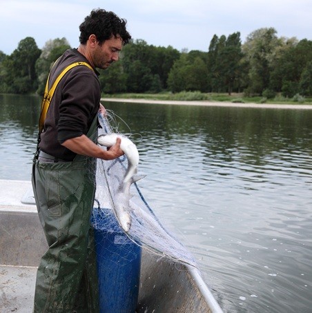 Nicolas Hérault: Pêcheur Professionnel en Loire